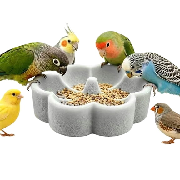 Natural Pumice Bird Food Bowl Cage Feeding Dish – 6" Large Bird Cage Feeder for Cockatoo, Conure, Parakeet, Lovebird