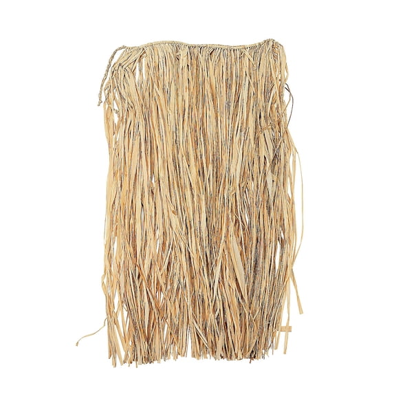 Natural Raffia Adult Hula Skirt - Apparel Accessories - 1 Piece