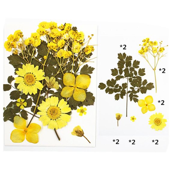 Natural Real Dried Flower Plants For Candle Epoxy Resin Jewelry Making Craft DIY