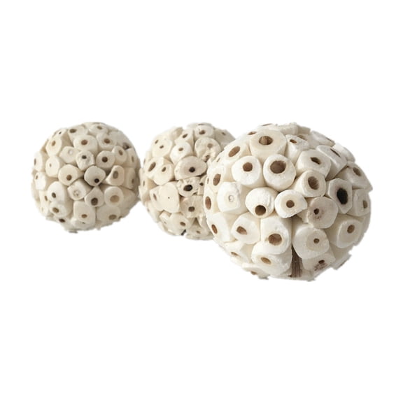 Natural Root Molar Toy Parrot Oversized Chewing Ball Chew Treat for Rabbits Chinchilla Guinea Pigs Gerbils Natural Root