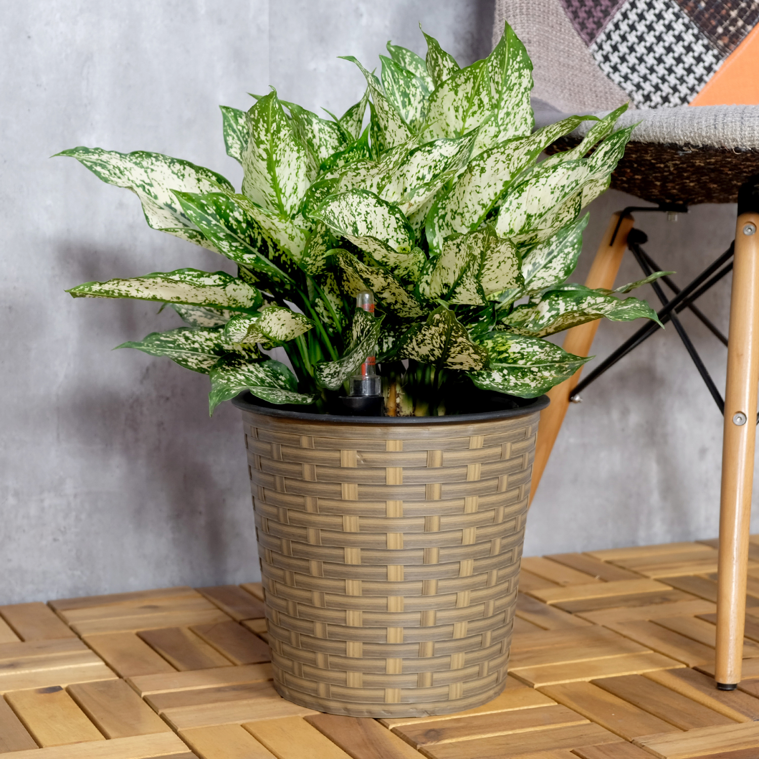 Natural Round 13.4” Selfwatering Wicker Decor Planter for Indoor and