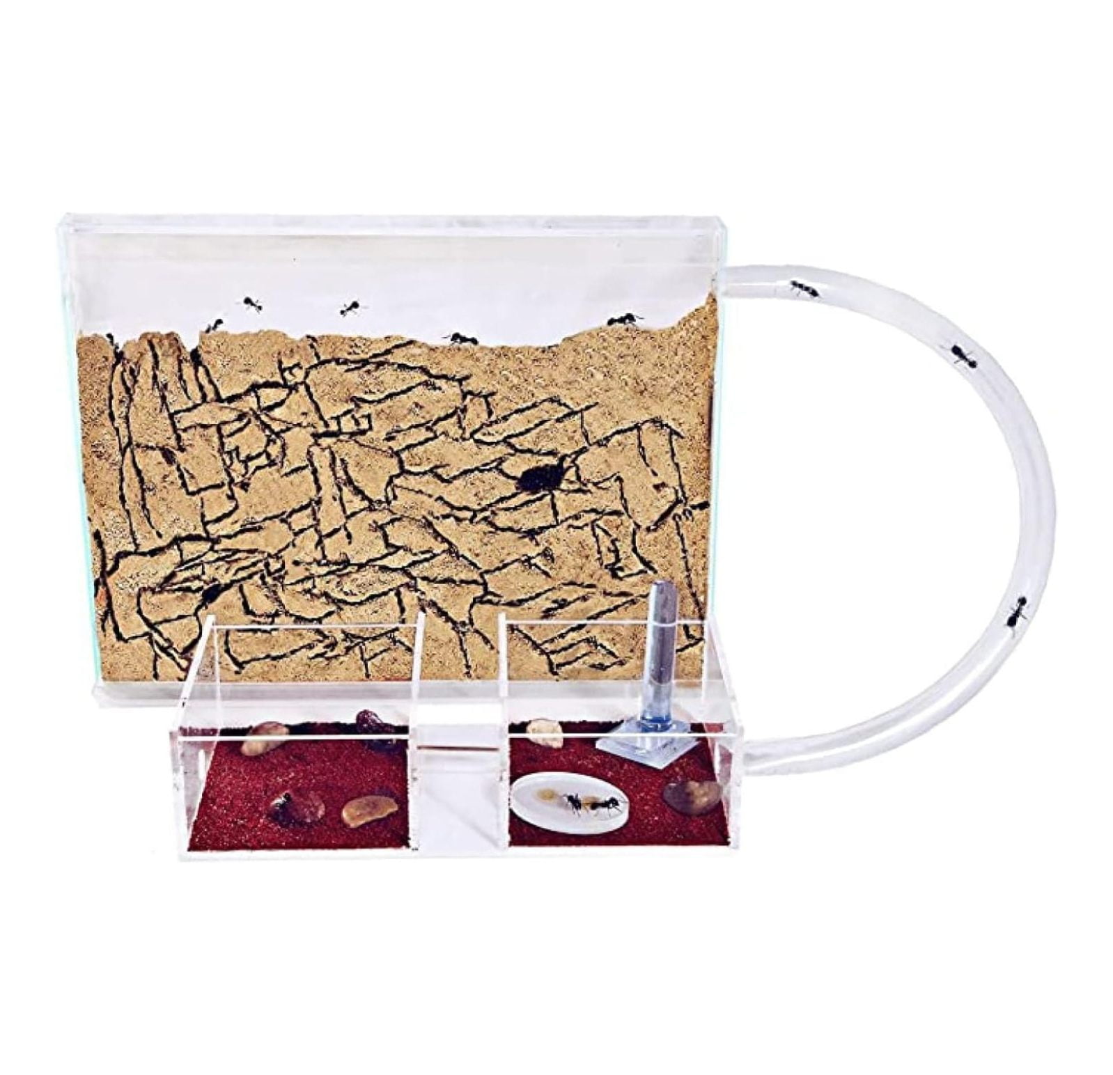 AntHouse - Natural Sand Ant Farm - Basic Kit | Sandwich (12x10x1 Cm) + Forage Box (18x10x5 Cm