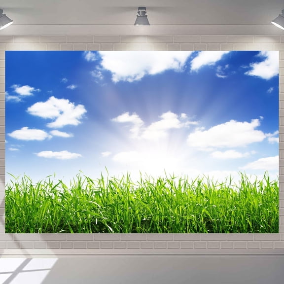 Natural Scenery Backdrop Blue Sky Photography Background Green Meadow Nature Outdoor Landscape Party Decorations Banner Photo Booth Props