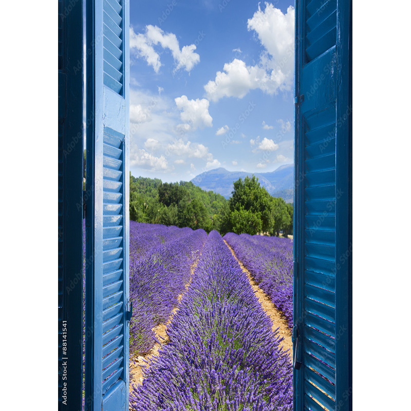 Outside Window Backdrop Natural Scenery Outside The Window Photography Backgrounds Props Flower ...