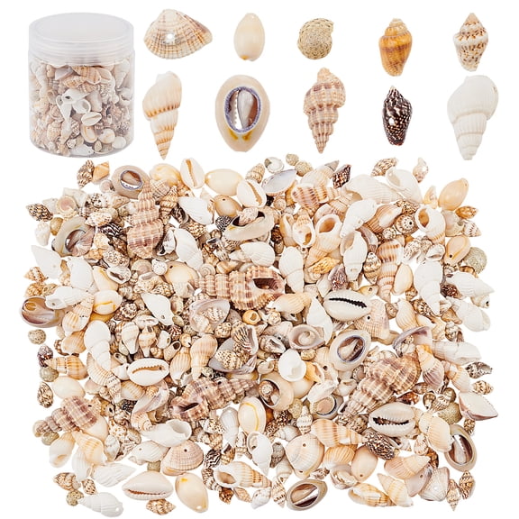 Natural Sea Shell Beads Kits Spiral Shell Cowrie Shell Trumpet Shell Ark Shell Snail Shell Seashell Color 7~40x3~22x3~15mm 175g/box diy