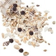 thumbnail image 1 of Natural Sea Shell Beads Kits Spiral Shell Cowrie Shell Trumpet Shell Ark Shell Snail Shell Seashell Color 7~40x3~22x3~15mm 175g/box, 1 of 6
