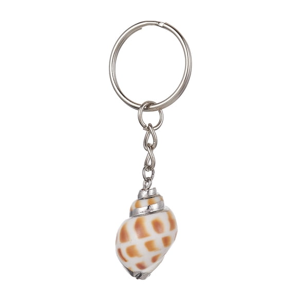 Natural Sea Shell Keychain with Iron Split Key Rings Shell/Conch Platinum 7.2~10.1cm