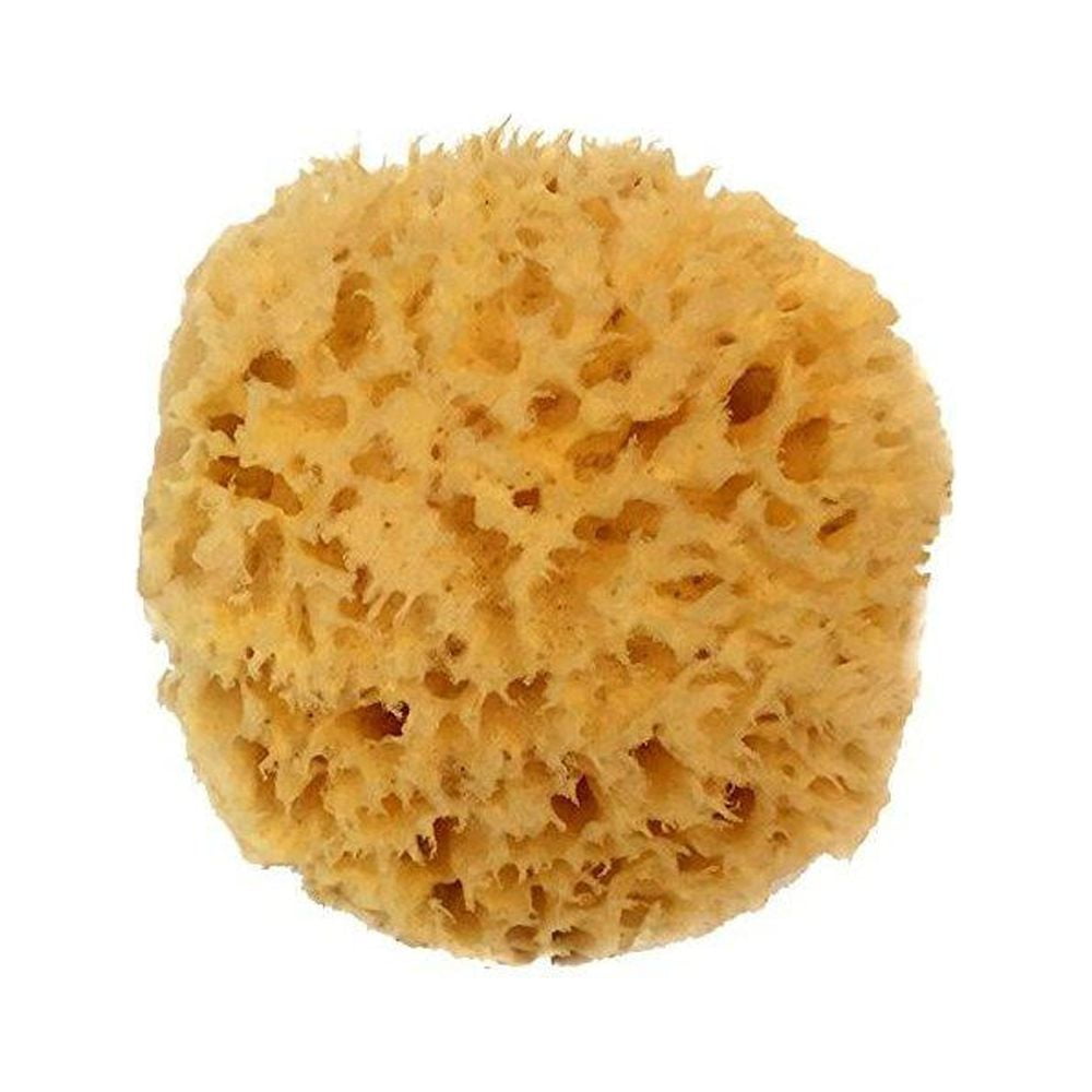 Boxed Wool Sponge  Organic Natural Sea Sponge - The Refill Shoppe