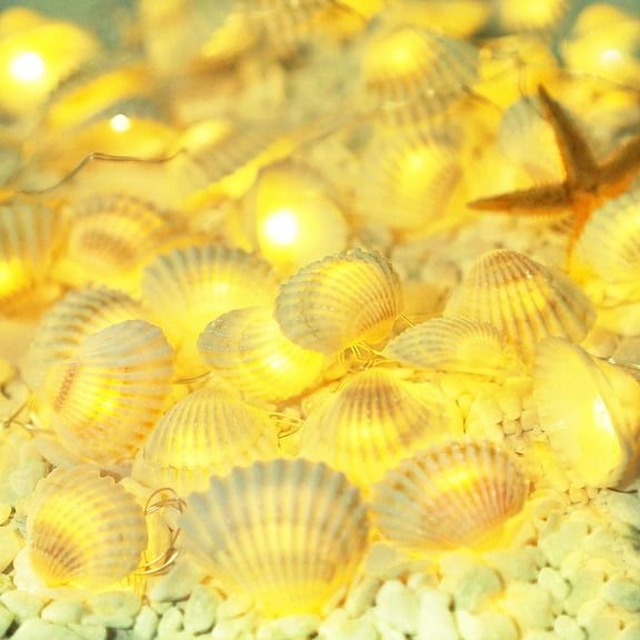 Natural Seashells String Lights, 40LED Beach Decoration USB Plug in with 8 Modes Remote Control, Waterproof Ocean Fairy Lights for Bedroom Party Indoor Outdoor Wedding Holiday Christmas