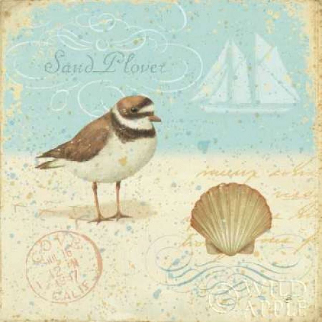 Natural Seashore I Canvas Art - Daphne Brissonnet (24 x 24)
