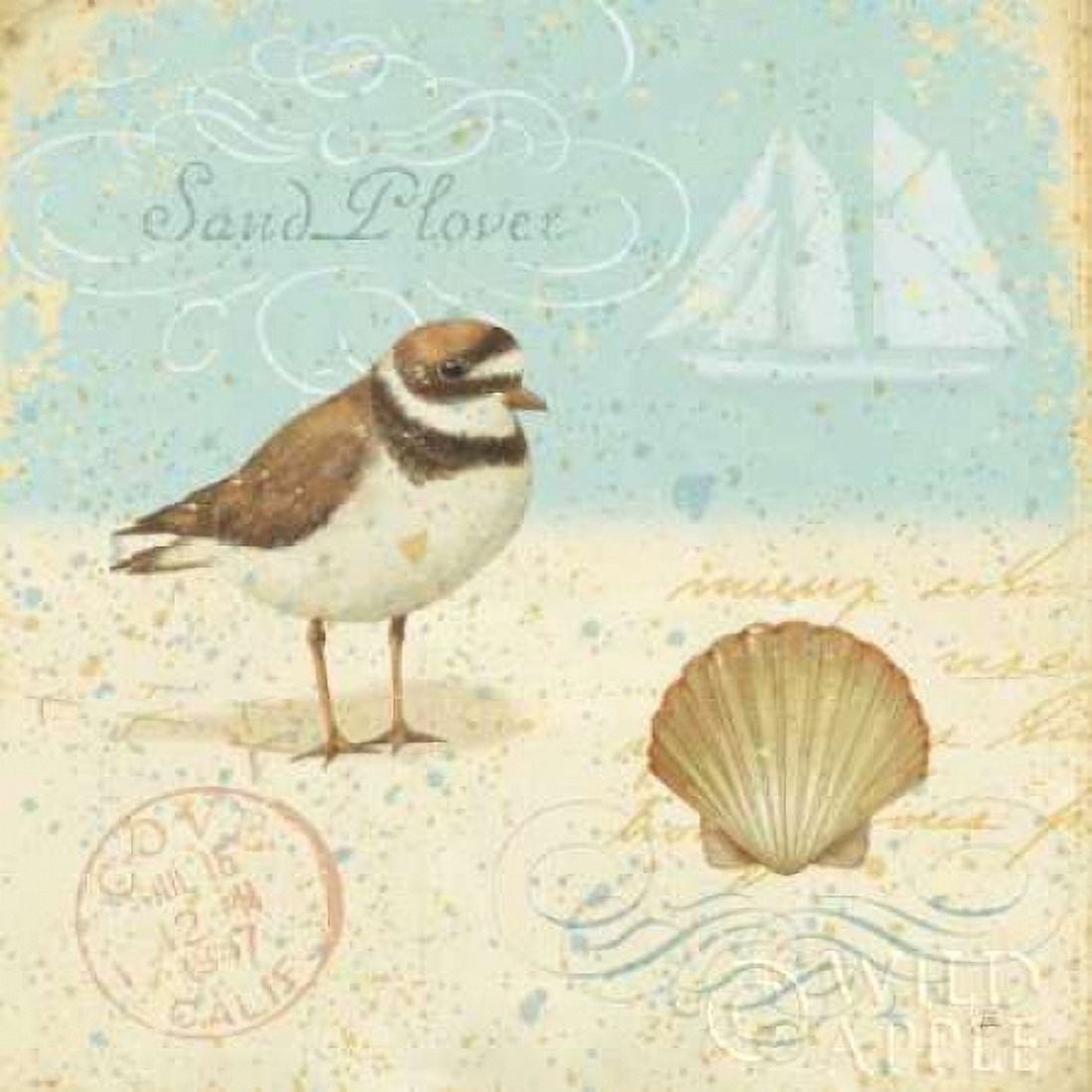 Natural Seashore I Canvas Art - Daphne Brissonnet (24 x 24)