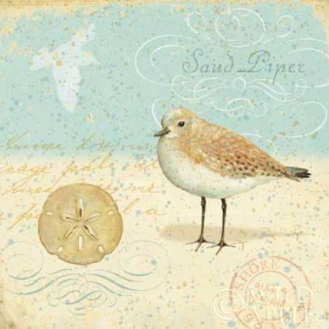 Natural Seashore II Canvas Art - Daphne Brissonnet (24 x 24)
