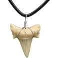 thumbnail image 1 of Natural Shark Tooth Necklace, Genuine Fossil Shark Teeth Jewelry for Men, Cool Beach Necklaces, Beachy Surfer Necklace for Women, 1 of 7