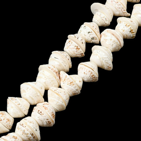 Natural Shell Bead Strands Turritella Seashell color 10~15x13x18mm Hole: 1mm about 52pcs/strand 15.7 inch