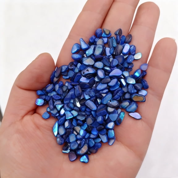 Natural Shell Fragments - Irregular Shell Chips for Jewelry Making, Crafts, Decor (300g, Dark Blue)
