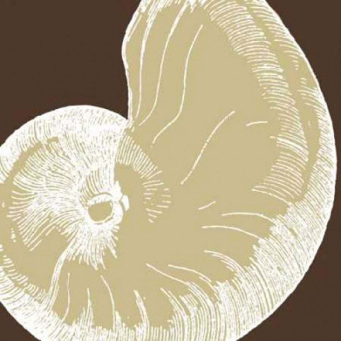 Natural Shell II Canvas Art - N Harbick (24 x 24)