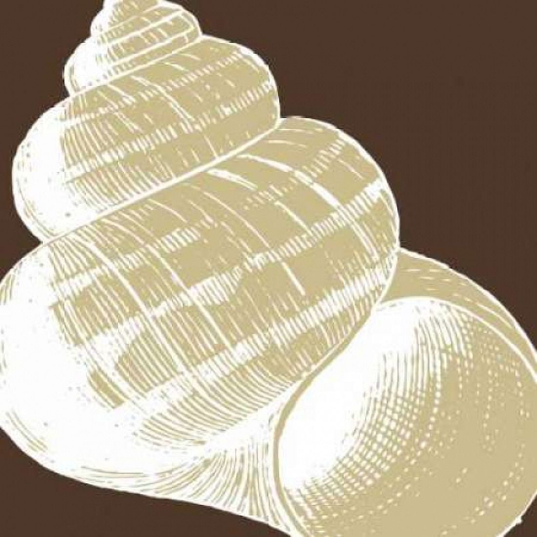 Natural Shell III Canvas Art - N Harbick (24 x 24)