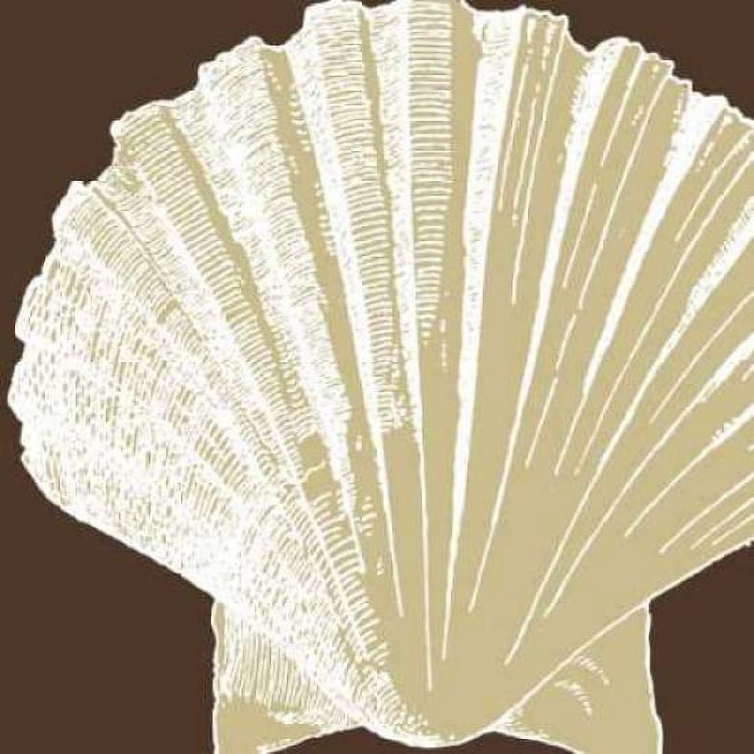 Natural Shell IV Canvas Art - N Harbick (24 x 24)
