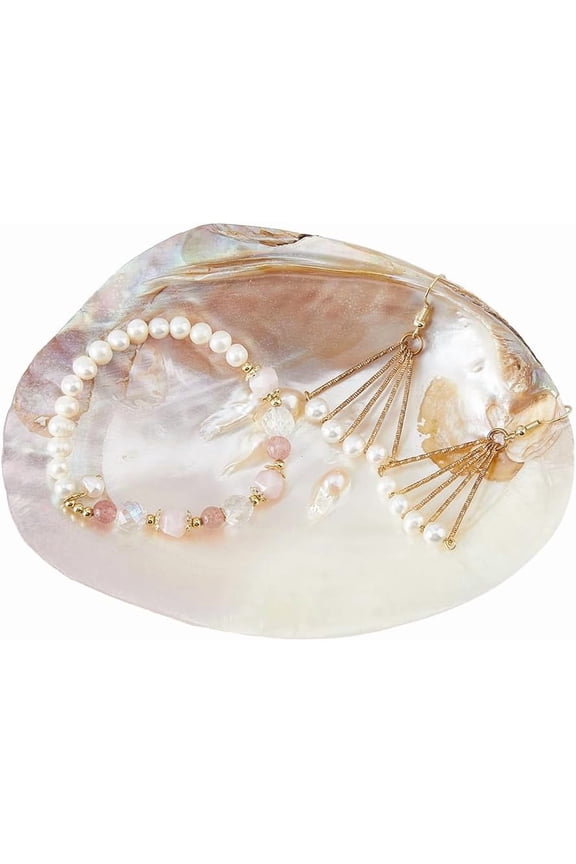 Natural Shell Jewelry Dish Tray Seashell Ring Holder 14.2x10.8cm/5.6x4.3inch Decorative Trinket Dish Stand DIY