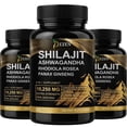 thumbnail image 1 of Natural Shilajit Extract Capsules 15,250 mg – Herbal Energy Booster with Panax Ginseng & Rhodiola Rosea, Pack 3, 1 of 9