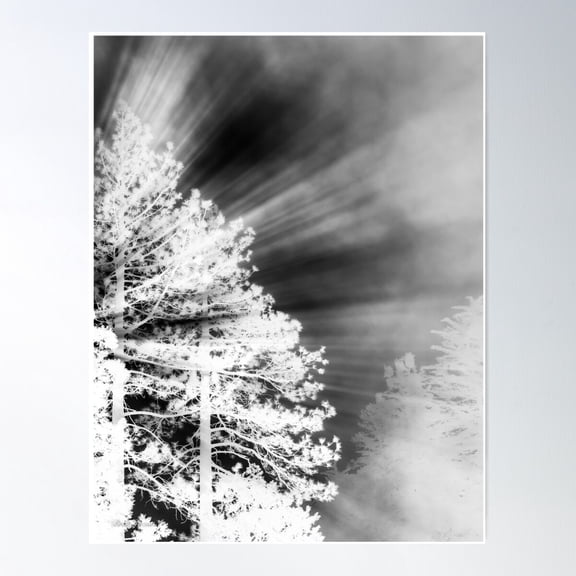 Natural Shine Poster Wall Art, Modern Wall Decor For Living Room Bedroom, 8x12 UNFRAMED