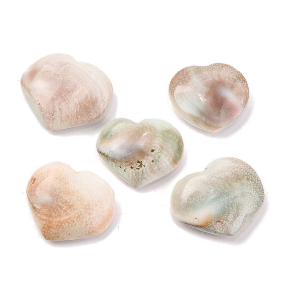 Natural Shiva Eye Shell Cabochons Heart Bisque 24~26.5x26.5~31x8.5~9.5mm