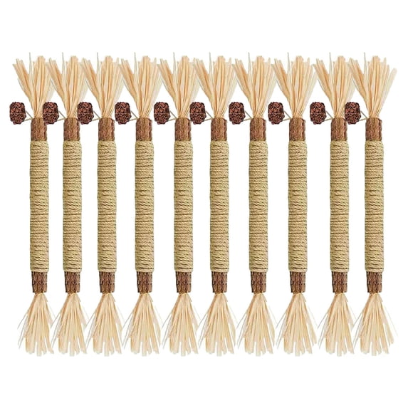 Natural Silvervine Sticks for Cat Teeth Cleaning, Raffia and Gall Fruit Dental Care Chew Toy for Healthy Indoor Cats, B