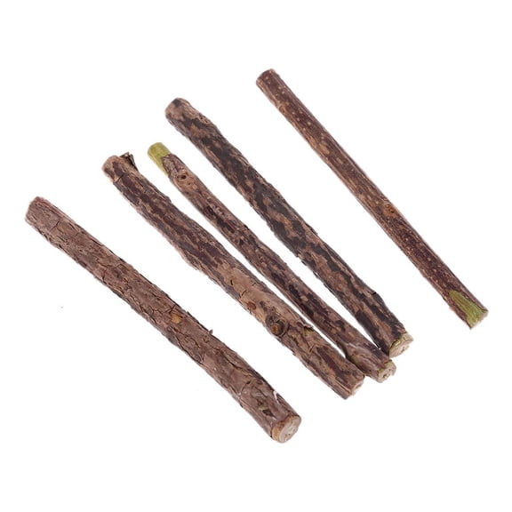 Natural Silvervine Sticks for Cats, Catnip Sticks Matatabi Chew Sticks Teeth Molar Cats Kitten Kitty Teeth Cleaning