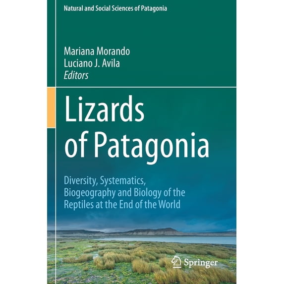 Natural and Social Sciences of Patagonia Lizards of Patagonia: Diversity, Systematics, Biogeography and Biology of the Reptiles at the End of the World, (Paperback)
