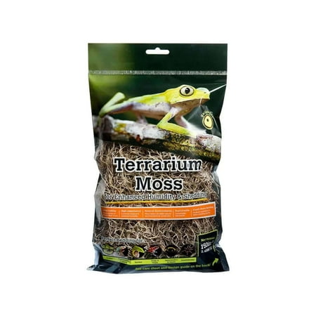 Natural Spanish Moss for Tropical & Forest Terrariums (Mini Bag)