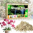 thumbnail image 1 of Natural Sphagnum Moss, 150g(10quarts) Premium Garden Moss for Orchid Re-potting, Succulents, and Floral Crafts, Safe for Pets and Plants, 1 of 5
