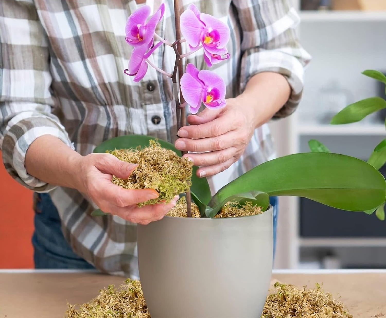 Natural Sphagnum Moss, Long Fiber Orchid Moss Potting Mix, Dried Sphagnum Moss for Indoor Plants, Orchid Repotting, Succulent, Carnivorous Plants, Terrarium and Reptiles