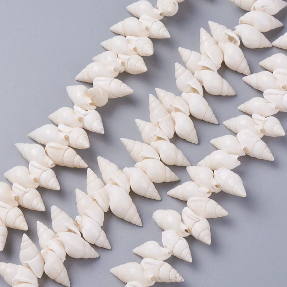 Natural Spiral Shell Beads Strands White 18~22x8~12x8~9mm Hole: 1mm 15.75 inch(40cm) diy