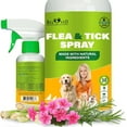 thumbnail image 1 of Natural Flea and Tick Home Spray for Dogs, Cats & Ferret - Mosquito, Bug Repellent & Carpet Flea Killer - Pet Pest Control & House Flea Treatment Indoor - Organic Prevention for Safe, 1 of 7