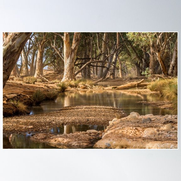 Natural Spring Poster Wall Art, Modern Wall Decor For Living Room Bedroom, 8x12 UNFRAMED