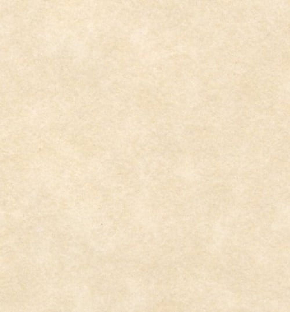 Natural Stationary Parchment 65 Lb. Cardstock, Size 8.5 X 11 Inches, 50 Per Pack