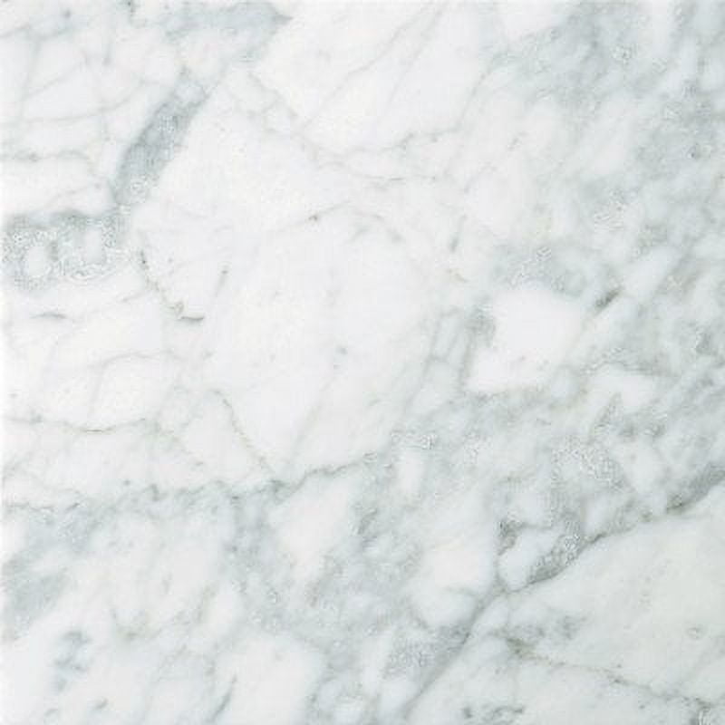 Natural Stone 12" x 12" Marble Tile in Nantes