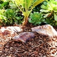 thumbnail image 1 of Natural Stone Boulders | 10-pack, 1-1.5 ft | Large Garden Rocks, 1 of 3