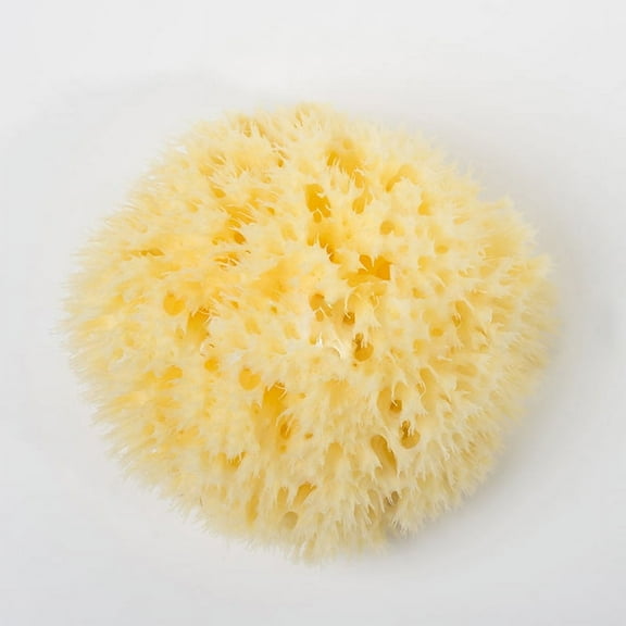 Natural Super Soft Ocean Sea Sponge Bath Body Shower Spa Lo Washing V5P5