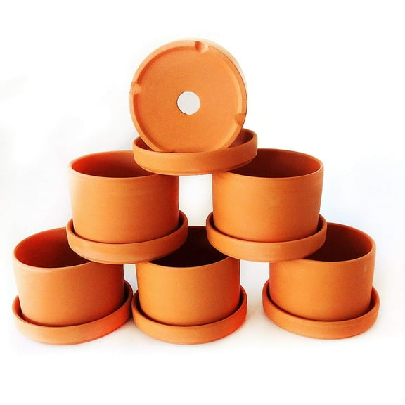 Natural Terra Cotta Round Fat Walled Garden Planters with Individual Trays, Set of 6