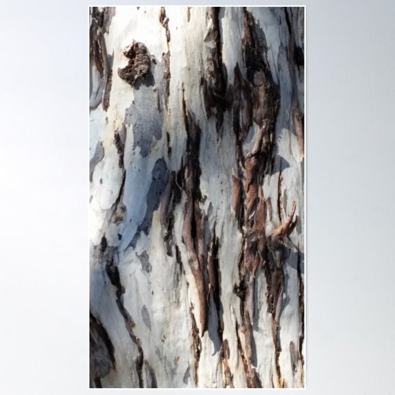 Natural Texture Poster Wall Art, Modern Wall Decor For Living Room Bedroom, 8x12 UNFRAMED