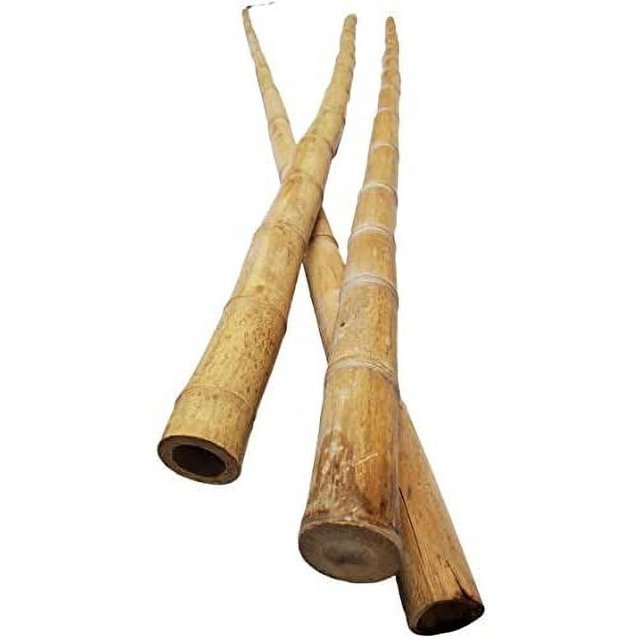 Natural Thick Bamboo Stakes About 6 Feet Tall 1.5 Inch Diameter Pack