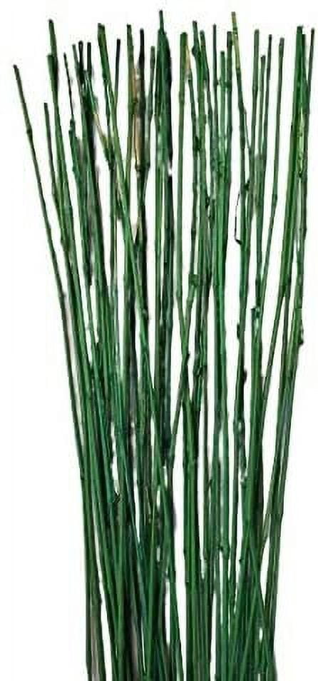 Natural Bamboo Stakes ( 6 Pack )