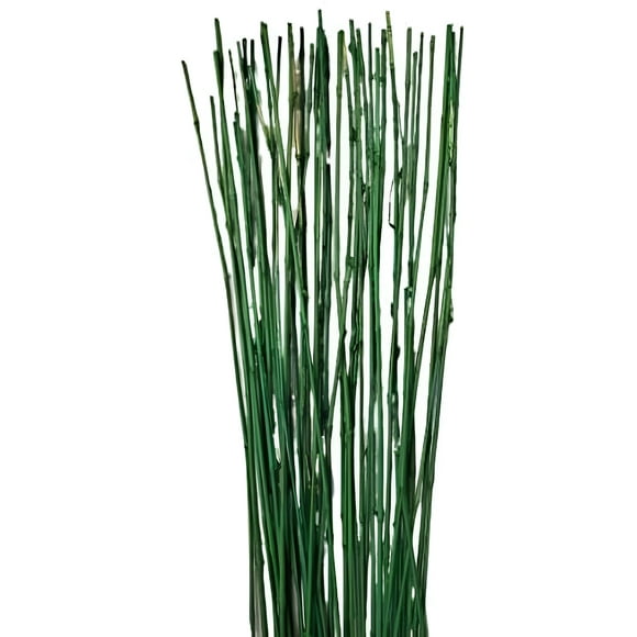 Natural Thin Bamboo Stakes About 6 Feet Tall - Pack of 20 (Natural Green)