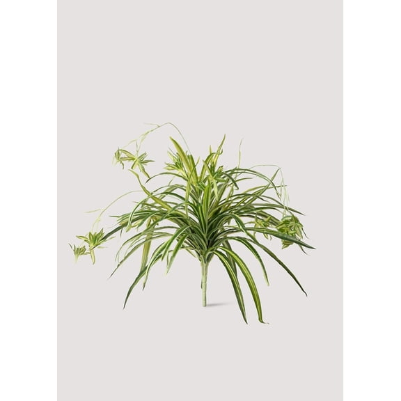 Natural Touch Fake Spider Plant - 32"
