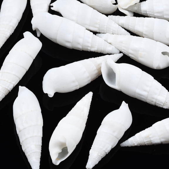 Natural Trochid Shell/Trochus Shell Beads Bleach Spiral Shell Shape No Hole White 42-55x13-17x12-16mm 90pcs/500g