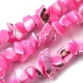 thumbnail image 1 of Natural Trochid Shell/Trochus Shell Beads Strands Dyed Hot Pink 5-22x7-15x3-8mm Hole: 1.2mm 65-70pcs/strand 14.69-15.35''(37.3-39cm), 1 of 4