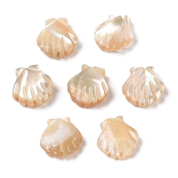Natural Trochus Shell Carved Beads Shell Shape Seashell Color 11x10x3.5mm Hole: 0.8mm