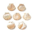 thumbnail image 1 of Natural Trochus Shell Carved Beads Shell Shape Seashell color 13x12x3mm Hole: 0.8mm, 1 of 3