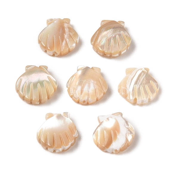 Natural Trochus Shell Carved Beads Shell Shape Seashell color 13x12x3mm Hole: 0.8mm